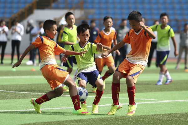 你能看到数 你能看到数